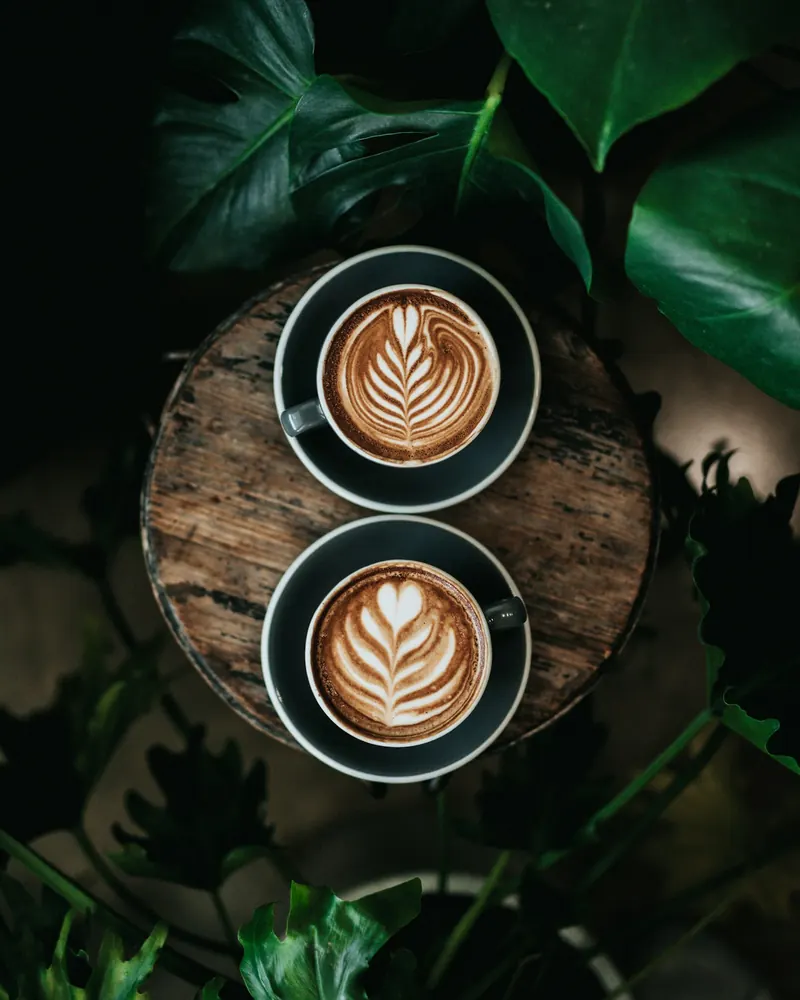 Deux tasses de latte vues de dessus, entourées de plantes